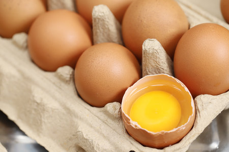 Fresh eggs from organic farms every morningの写真素材