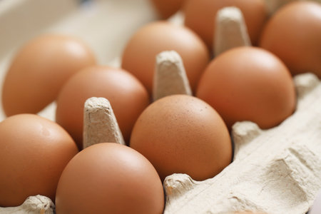 Fresh eggs from organic farms every morningの写真素材