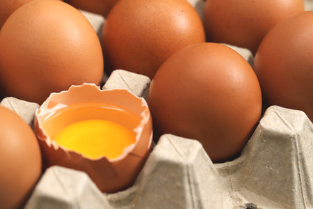 Eggs are the best protein and are inexpensive and readily availableの写真素材