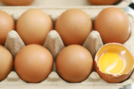 Fresh eggs from organic farms every morningの写真素材