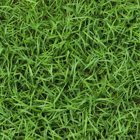 Green Grass background at football fieldの写真素材