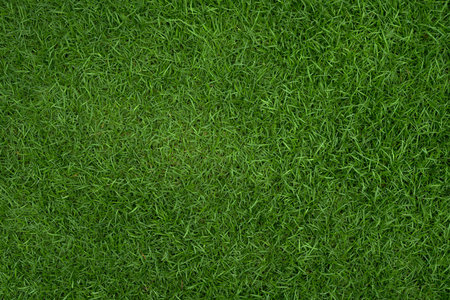 Grass background at football fieldの写真素材