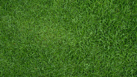Grass background at football fieldの写真素材