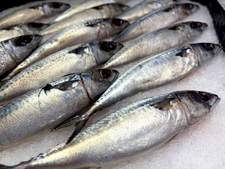 Fresh fish frozen in the market contain Omega 3の写真素材