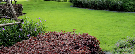 Green grass in a public park in a housing estate
