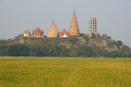 paddy field and Thai temple on mountain at Kanchanaburi province Thailandのeditorial素材