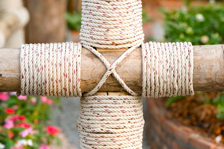 rope wrap on bamboo in the garden