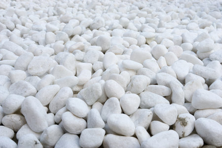 Small smooth white pebbles textureの写真素材