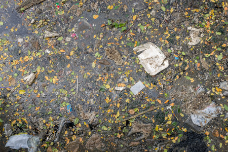 Pollution of water by leaves and garbageの写真素材
