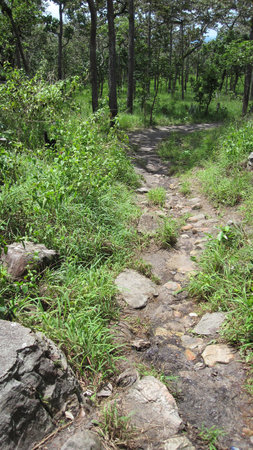 Walk in the Hillの写真素材