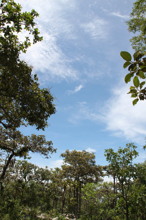 Blue sky in thailandの写真素材