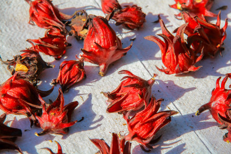 Hibiscus sabdariffa / Roselle / Healthy Food Alternative Medicine Drinksの写真素材