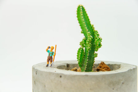 Miniature gardener on cactus flowerpot isolated on white backgroundの写真素材