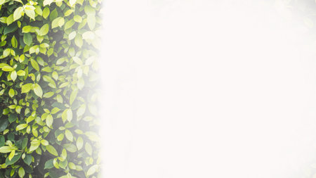 Green leaves background.の写真素材