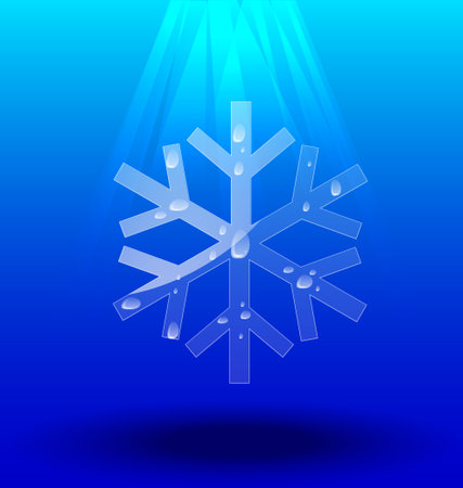 Snowflakes crystal set vector on blue backgroundのイラスト素材