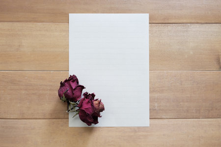 blank paper for your text with dry roses on wooden backgroundの写真素材