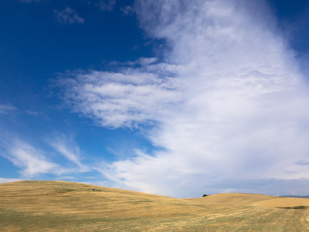 hilly landscapesの写真素材