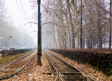Fog in Turin at the Parco del Valentinoの写真素材