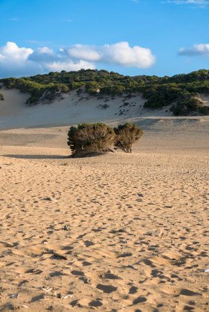 Piscinas beach in Sardiniaの写真素材