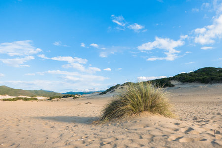 Piscinas beach in Sardiniaの写真素材