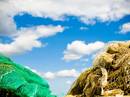 Fishing with fish net close up