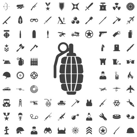 hand grenade - vector icon. Set of weapon iconsのイラスト素材
