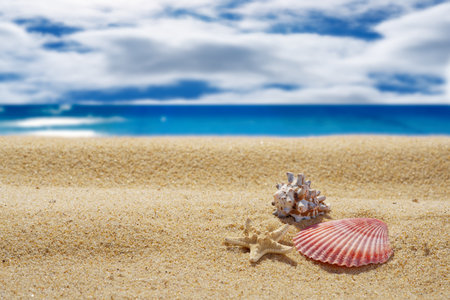 Close-up of seashells on a background of sand. Blurred sky background with clouds and the sea. Free space for text or image. seaside vacation. Travel and tourism.の写真素材
