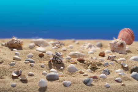 Seashells in the sand. Blue background blurred. Scene of underwater life. Tourism and travel. A high resolution. Free space for text.の写真素材
