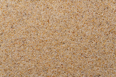 Texture. Calibrated Quartz Sand. A high resolution. Natural material.の写真素材