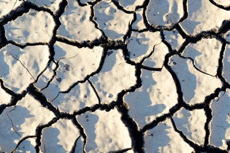 Texture. Large cracks in the surface of the earth. Drought. Ecology problems. Erosion.の写真素材