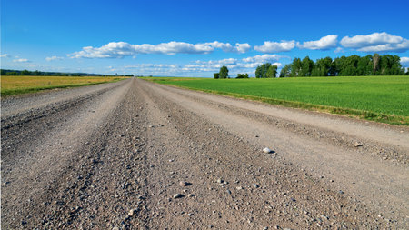 Gravel road close-up. Large stones are visible in the foreground. Around the green field and trees. Blue sky with few clouds in the distance.の写真素材