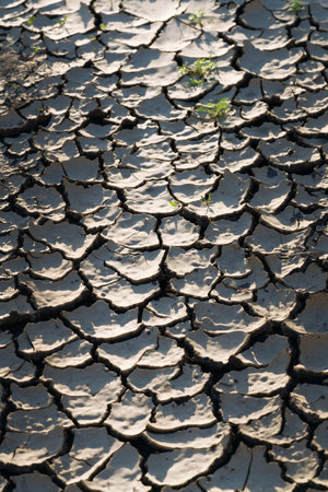 Cracked ground surface. Sunset. Clay texture. Partial blur.の写真素材