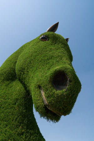 Giant green horse head made of grass on a clear sunny day against a blue sky. Close-up.