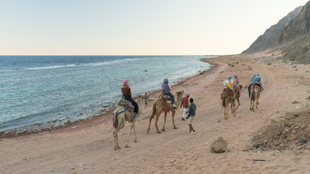 Dahab, Egypt - February 5, 2024: A group of tourists enjoy a camel ride along a sandy beach near the Red Sea, accompanied by a local Bedouin guide.のeditorial素材