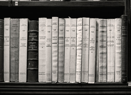 Brihuega, Spain 11-13-2020 White, used and really old books on a bookshelf in an antique shopのeditorial素材