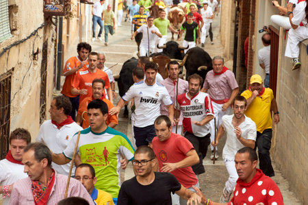 08-16-2013 Brihuega, Spain - Running bulls in Brihuega's traditional bull runのeditorial素材