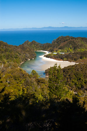 paradise beach in abel tasman national park, southern island new zealandの写真素材