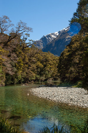 View of the Clinton river along the Milford track,, fiordland national park south island New Zealand. Milford Track is known as the most beautiful walk in the world.の写真素材
