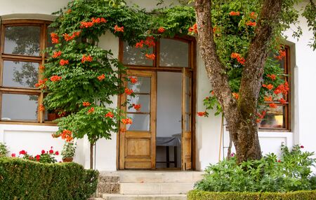 Trumpet vine (Campsis radicans) above door entry into house from garden with flowers