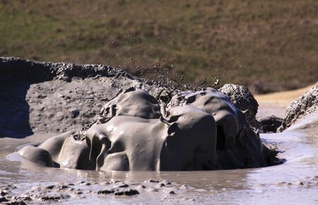 Paclele Mari mud volcano in Buzau, Romania. The Berca Mud Volcanoes is a geological and botanical reservation. Small volcano-shaped structures caused by the eruption of mud and natural gases.の写真素材