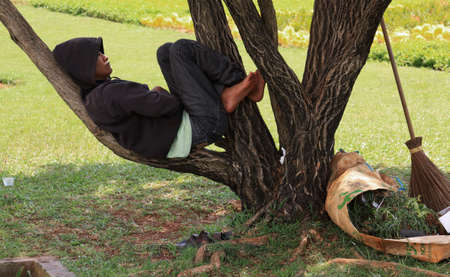 JAKARTA, INDONESIA - May 30, 2013: Indonesian worker sleeping on tree branch in the shade Jakarta, Indonesiaのeditorial素材
