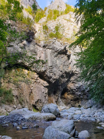 Cheile Rametului gorges wild natural park river area. Waterfall on small river in dense forest in...