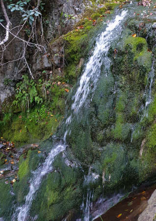 Cheile Borzesti gorges natural river area. Waterfall on small river in dense forest in Cluj county,...
