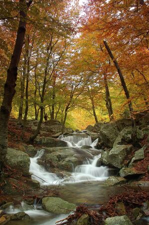 Little river in El Montsenyの写真素材