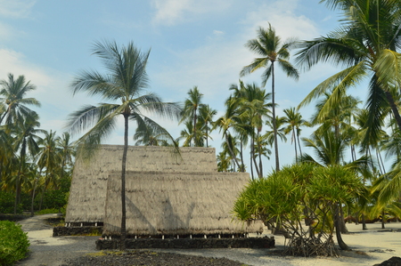 Hawaiian Native Village Houseのeditorial素材