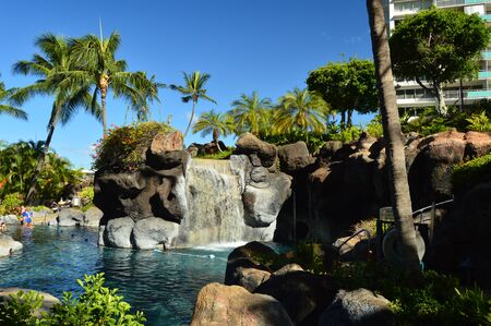 Beautiful views of Waikiki Beach with impressive palm trees.. Oahu, Hawaii, USA, EEUU.