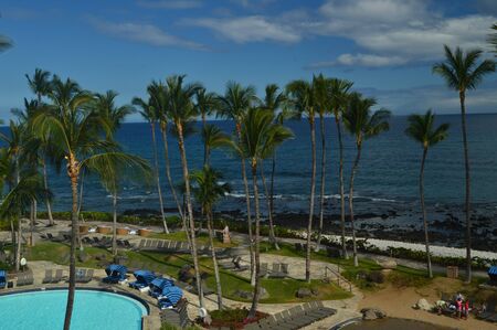 PALM & POOLS IN HAWAIIのeditorial素材