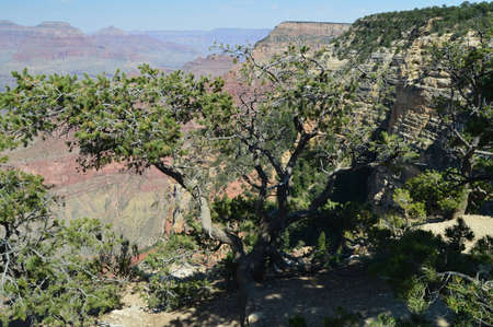Grand Canyon Of The Colorado River. South Kaibab Trailhead. Geological formations. June 22, 2017. Grand Canyon, Arizona, USA. EEUU.の写真素材