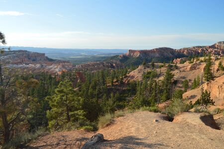 Beautiful Views From The Highest Point In Bryce Canyon. Firs and Geological Formations. Geology. Travel.Nature. June 25, 2017. Bryce Canyon. Utah. Arizona. EEUU. USA.のeditorial素材