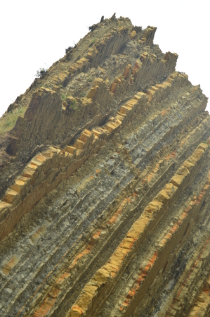 Rock Composed of Fossil Records with Formations of the Flysch Type of the Paleocene Geopark Basque...